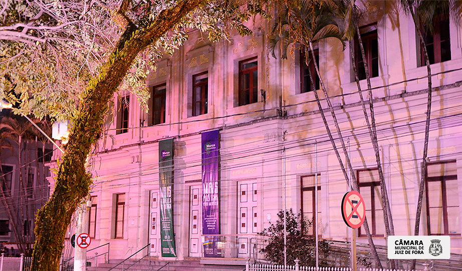 Março Mês da Mulher - Fachada da Câmara recebe iluminação noturna especial  (17/03/2021 00:00:00)