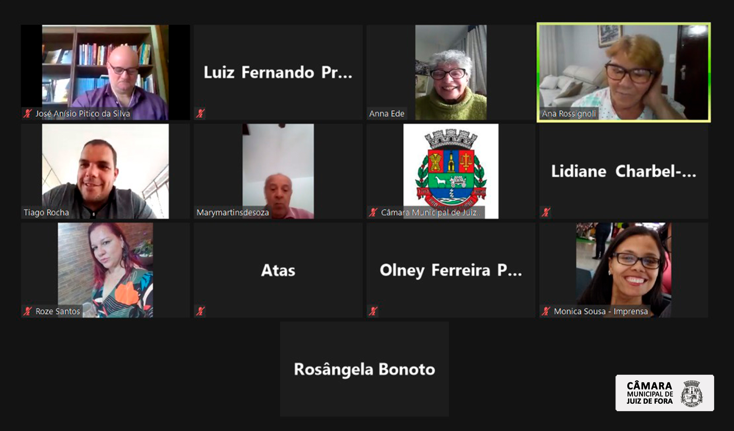 Comissão da Pessoa Idosa acerta os últimos detalhes para a Semana Municipal do Idoso 2021 (14/04/2021 00:00:00)