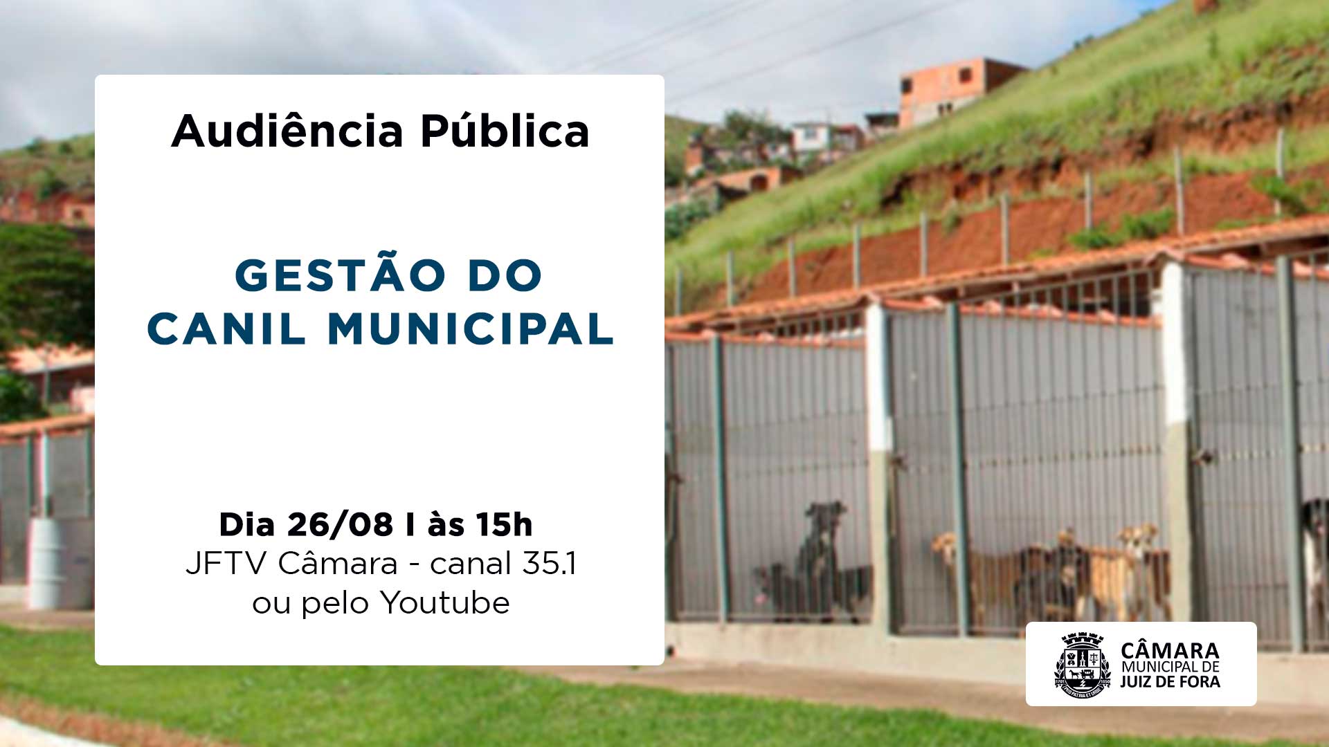 Situação do Canil Municipal será debatida em Audiência Pública  (26/08/2021 00:00:00)
