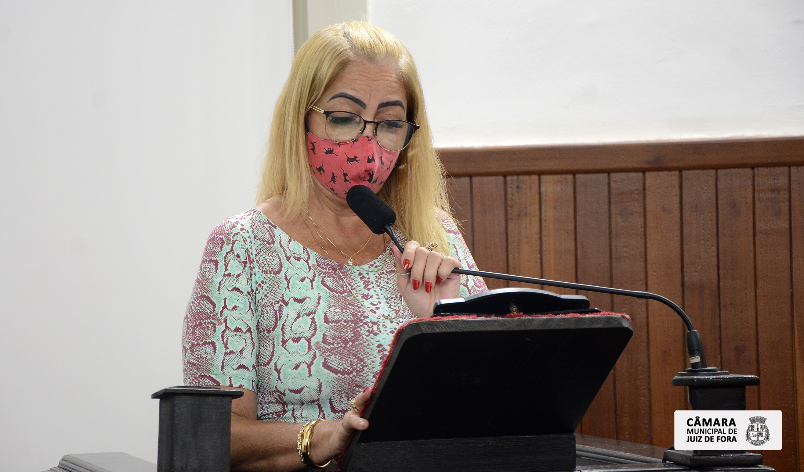 Dia do Protetor de Animais é proposto em PL  (16/11/2021 00:00:00)
