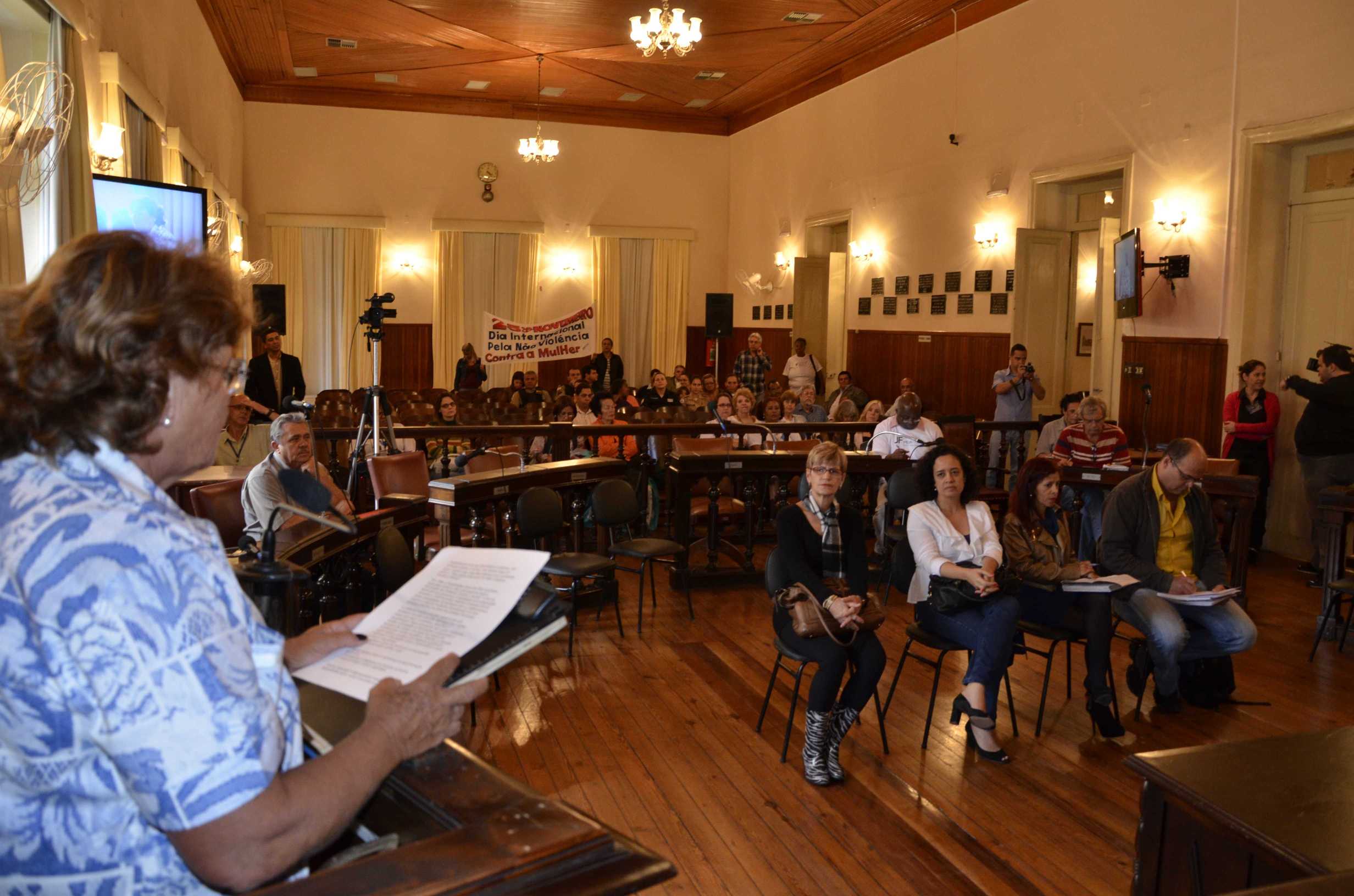 Audiência pública debate violência contra a mulher (25/11/2013 00:00:00)