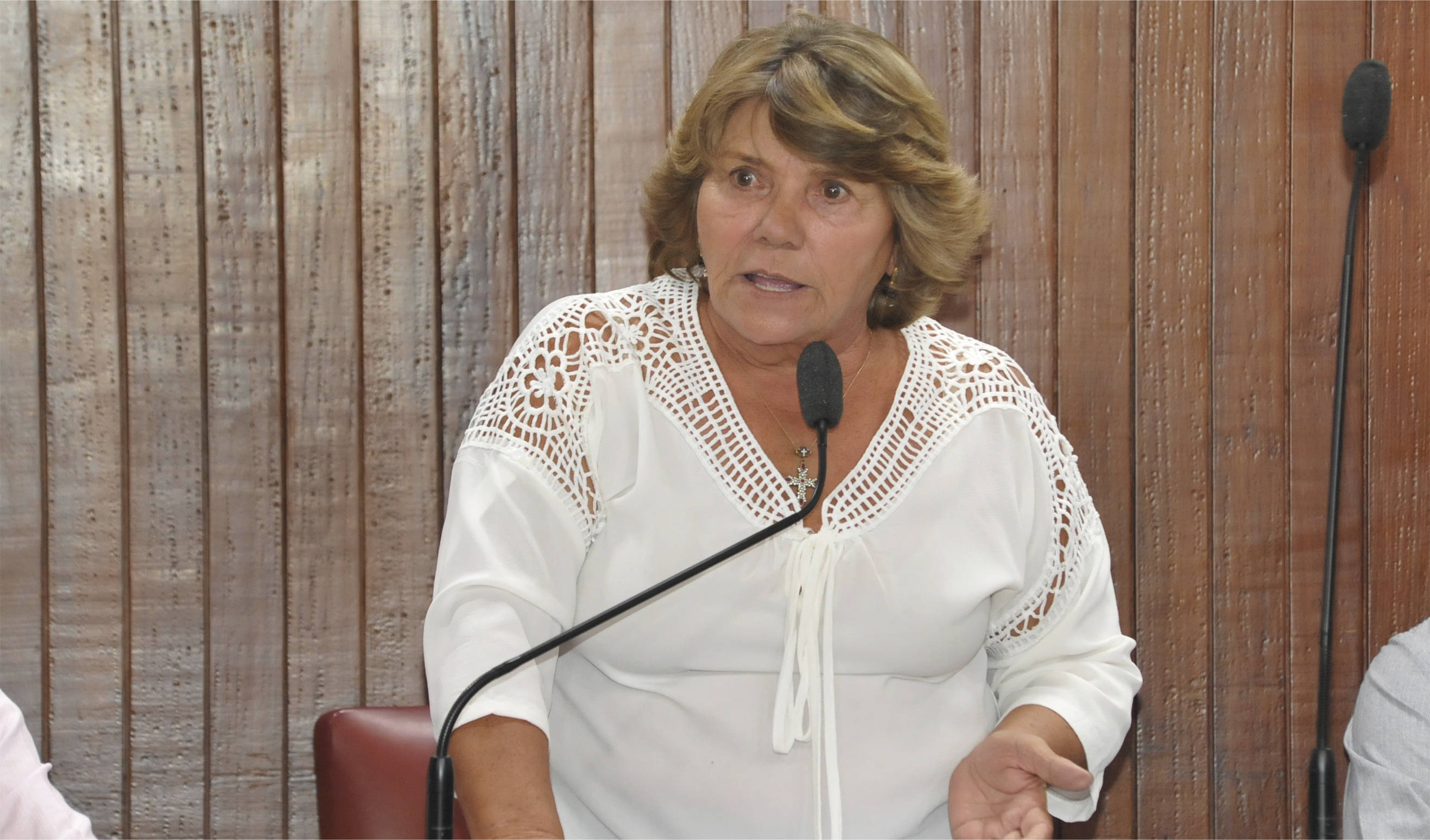 PL propõe disponibilizar cadeiras de rodas em cemitérios (03/04/2017 00:00:00)