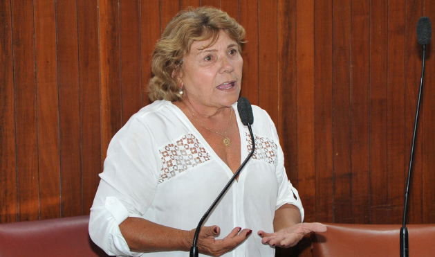 Vereadora Ana propõe lei para a criação da Procuradoria Especial da Mulher (23/05/2017 00:00:00)