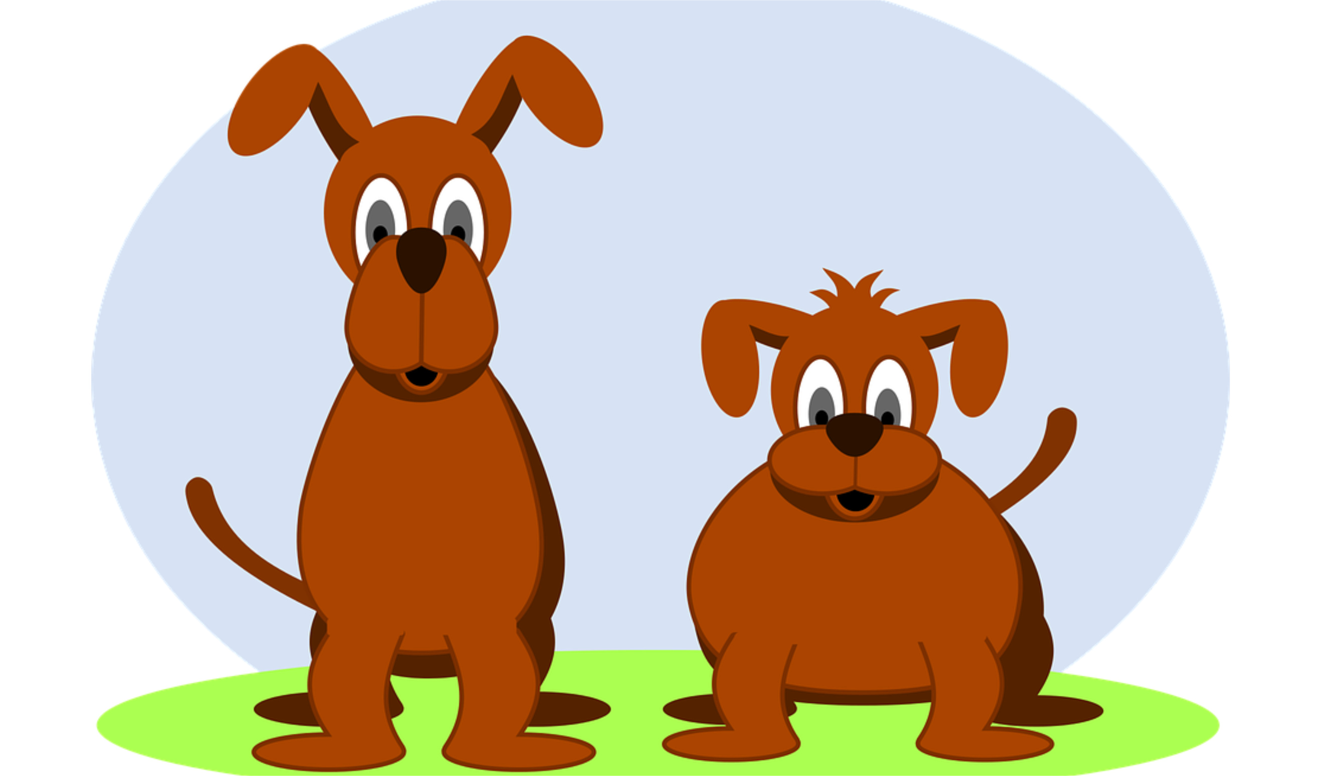 Sancionada Lei que cria a Semana de Conscientização e Proteção dos Direitos dos Animais em JF (19/06/2017 00:00:00)