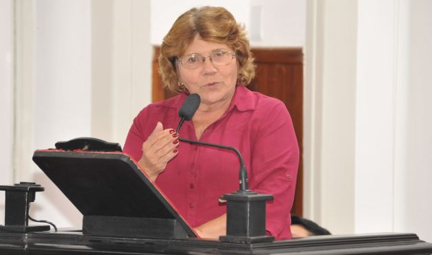 PL pretende incentivar o combate à violência contra idosos nas escolas (13/07/2017 00:00:00)