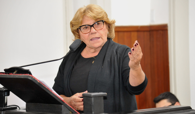 Ana do Padre Frederico quer instituir Dia do Gerontólogo em Juiz de Fora (23/05/2018 00:00:00)