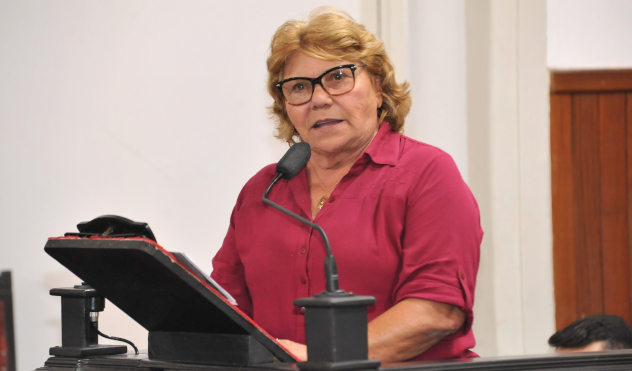 Câmara aprova Dia Municipal da Doula (27/11/2018 00:00:00)