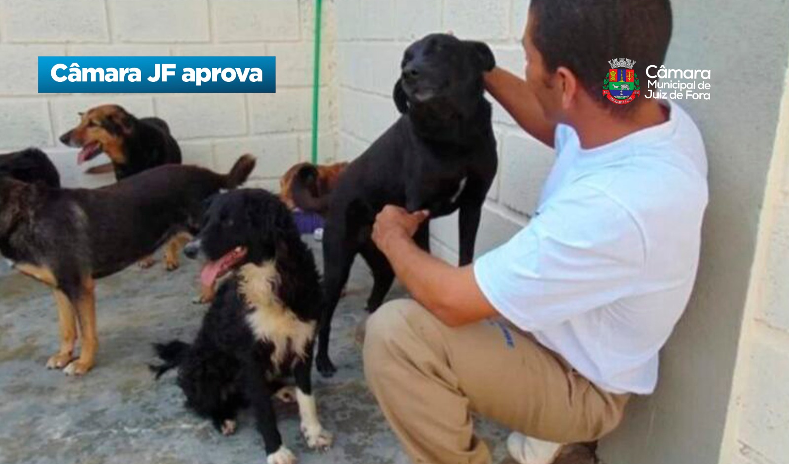 Câmara JF aprova -  Programa Cuidar para Recomeçar (28/04/2026 00:00:00)