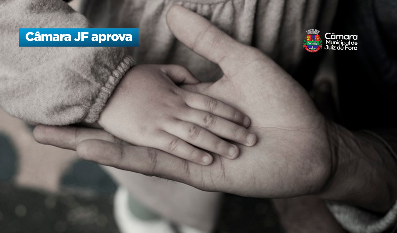Câmara JF aprova - Proteção aos filhos de vítimas de feminicídio (01/06/2026 00:00:00)