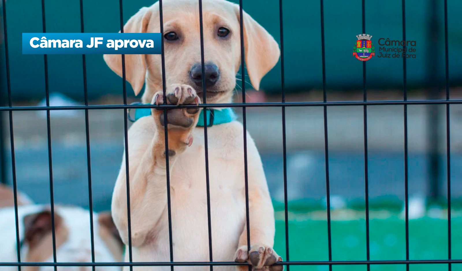 Câmara JF aprova - Mudança na destinação de multas (10/09/2026 00:00:00)