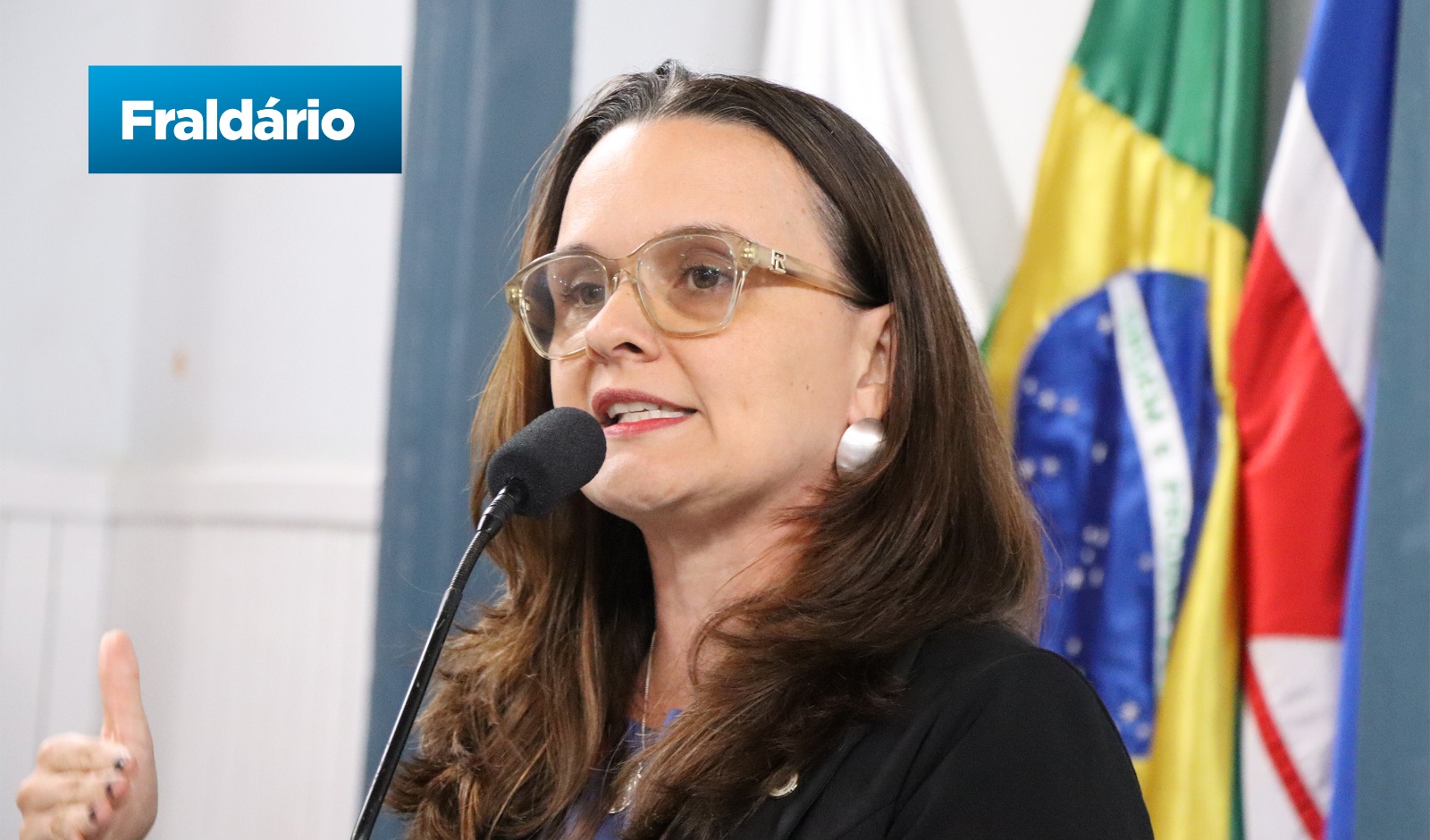 Letícia Delgado propõe disposição de fraldários acessíveis (19/05/2025 00:00:00)
