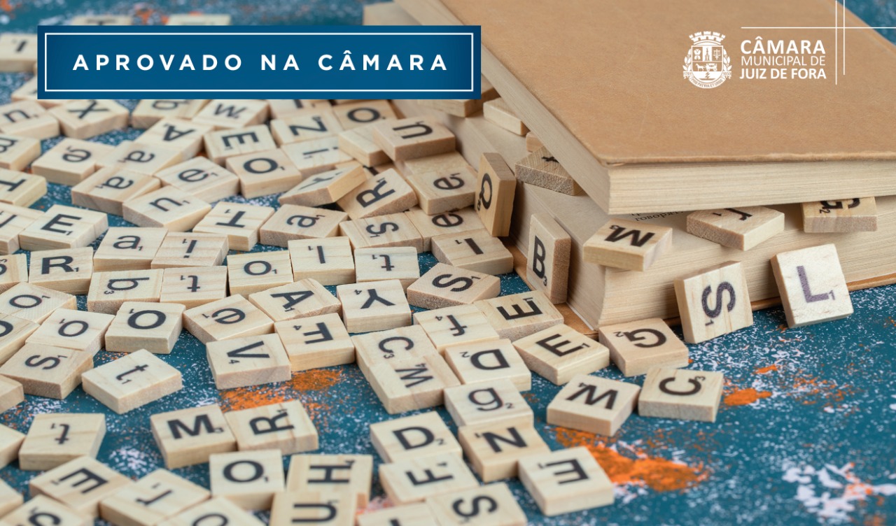 Câmara aprova PL que orienta sobre o ensino da língua portuguesa em JF (08/07/2022 00:00:00)
