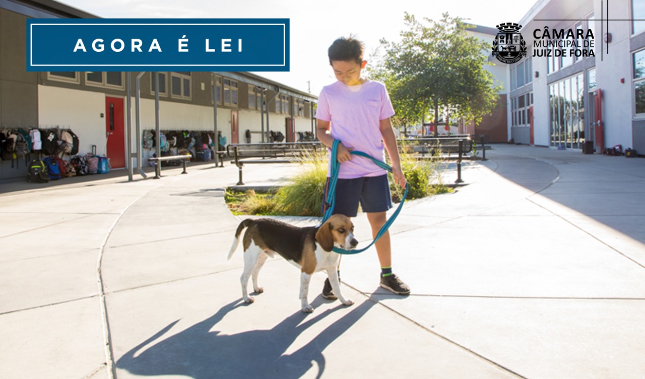 Agora é Lei - Projeto AmiCão já pode ser implantado nas escolas (03/08/2022 00:00:00)