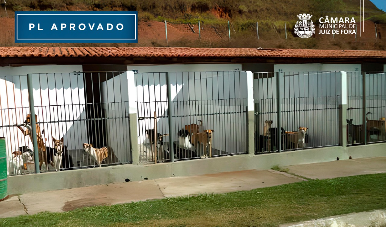 Aprovado PL que propõe câmeras de segurança no Canil (30/08/2022 00:00:00)