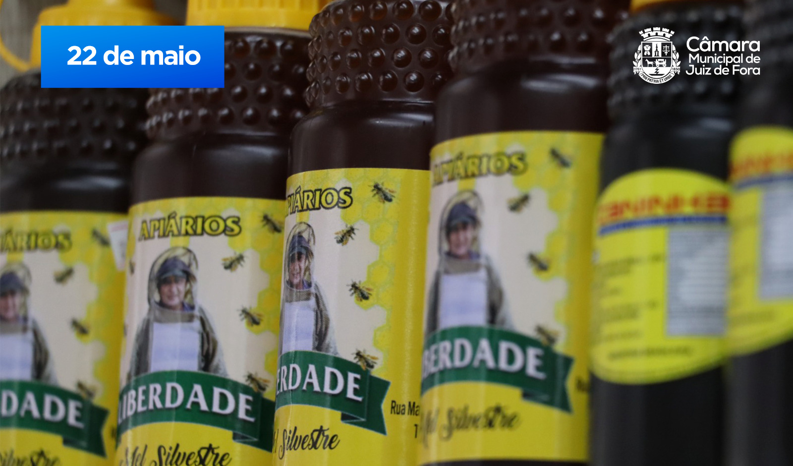 Vereadores votam pela criação do Dia Municipal do Apicultor (07/07/2023 00:00:00)