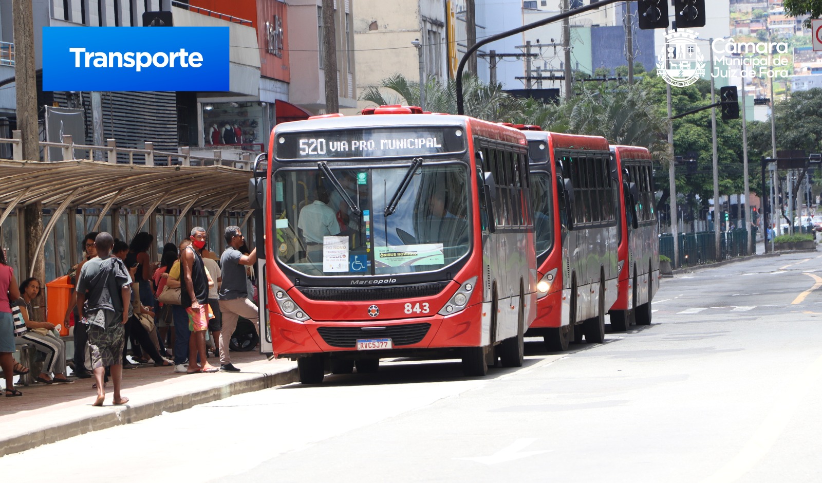 Câmara aprova gratuidade no transporte coletivo aos portadores de doenças raras (31/08/2023 00:00:00)