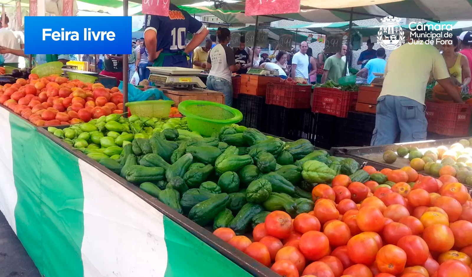 Câmara recebe PL para isenção a feirantes até o fim da concorrência (31/10/2023 00:00:00)