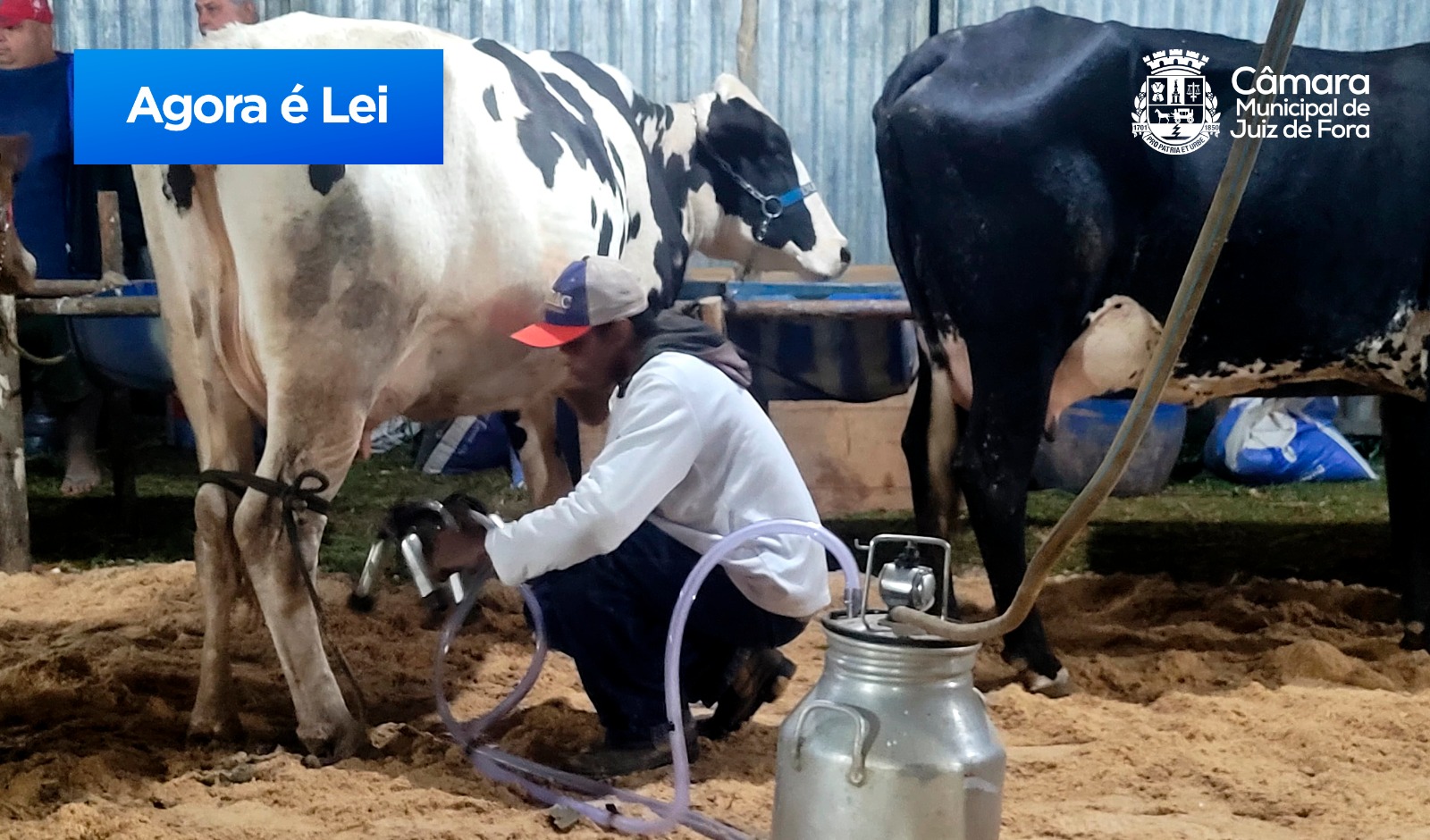 Agora é Lei - Torneio Leiteiro de Angolinha como Patrimônio Imaterial (04/12/2023 00:00:00)