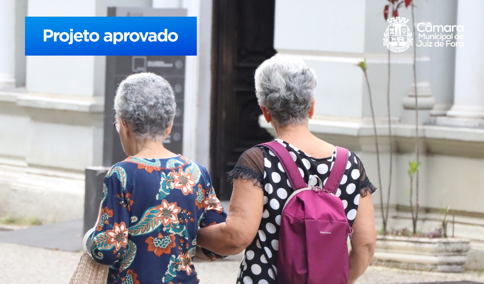 Câmara aprova PL do Programa Idade Ativa, para pessoas idosas no mercado de trabalho (11/12/2023 00:00:00)