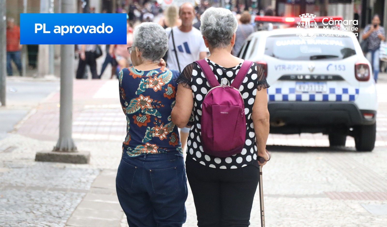 Câmara aprova PL para ensino dos direitos das pessoas idosas e das PCD em escolas (23/01/2024 00:00:00)