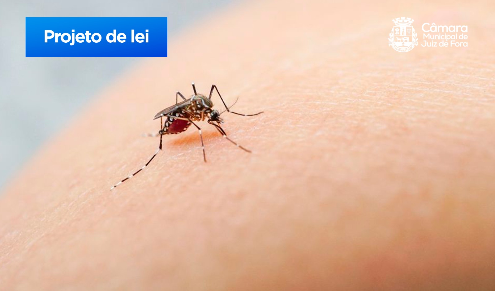 André Luiz propõe PL para criar Programa Municipal Todos Contra a Dengue (21/02/2024 00:00:00)