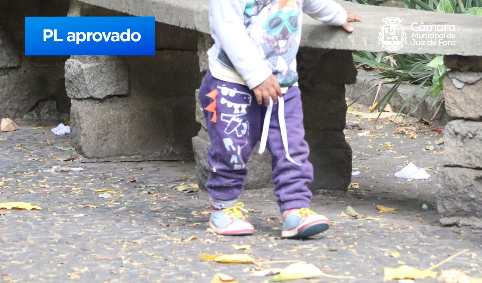 Câmara aprova Projeto de Lei Henry Borel para proteção das crianças (27/03/2024 00:00:00)