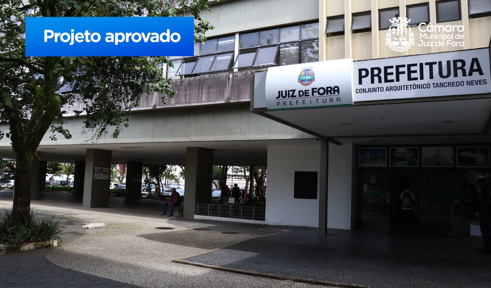Câmara aprova reforma e criação de secretarias das mulheres, da igualdade racial e pelo bem-estar animal (03/12/2024 00:00:00)