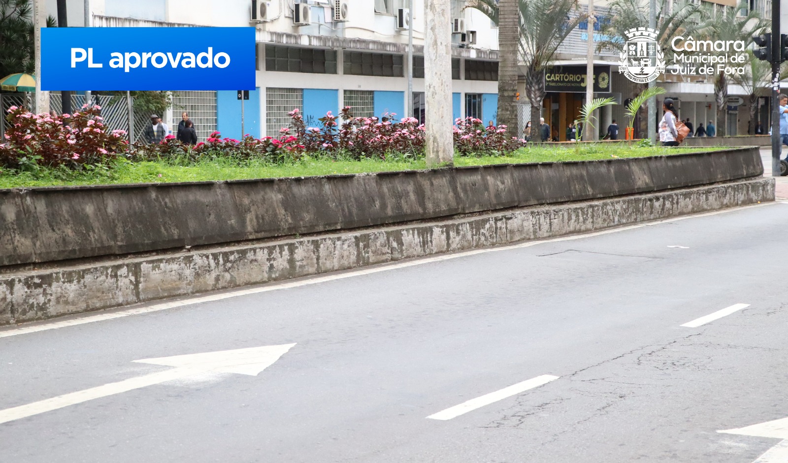 Câmara aprova PL Rua Viva para fechamento de vias aos domingos e feriados (05/12/2024 00:00:00)