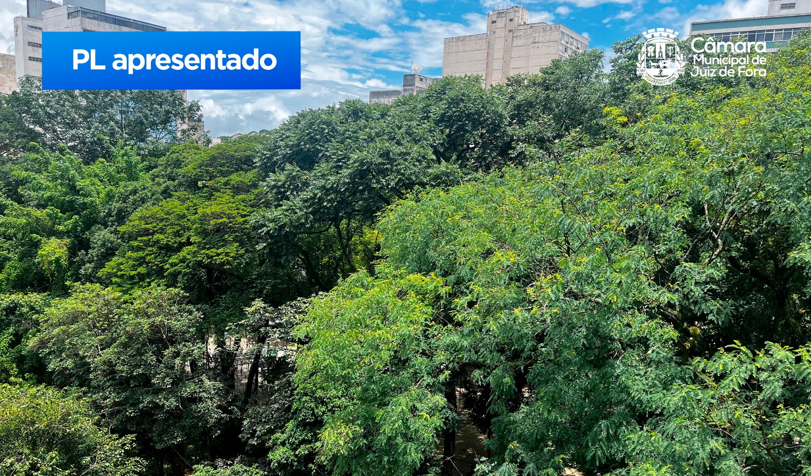 Tiago Bonecão apresenta projeto de lei para autorizar a PJF a realizar poda de árvore em terreno particular (08/01/2025 00:00:00)
