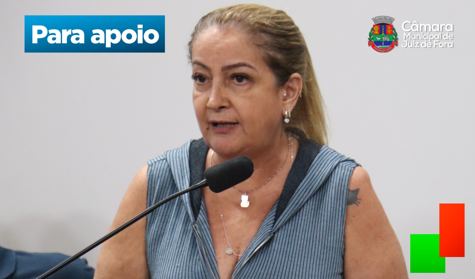 Kátia Franco apresenta projeto para instituir pontos de apoio em eventos públicos de JF (21/02/2025 00:00:00)