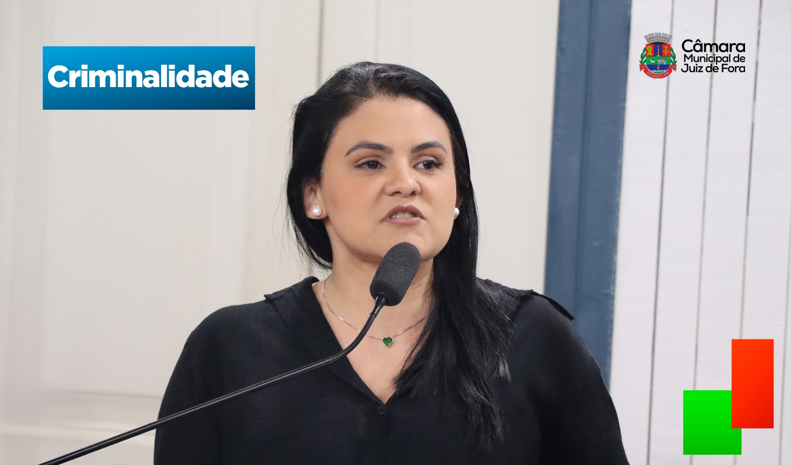 Roberta Lopes propõe publicizar índices de criminalidade em Juiz de Fora (06/05/2025 00:00:00)