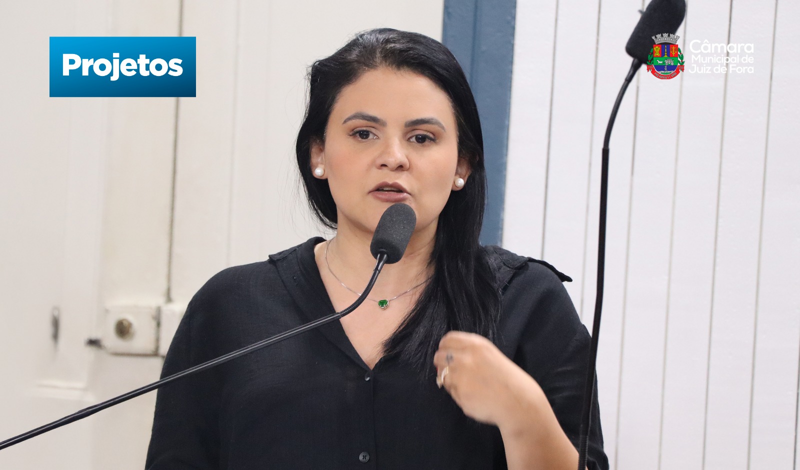 Roberta propõe projetos voltados para educação, saúde e segurança em Juiz de Fora (20/05/2025 00:00:00)