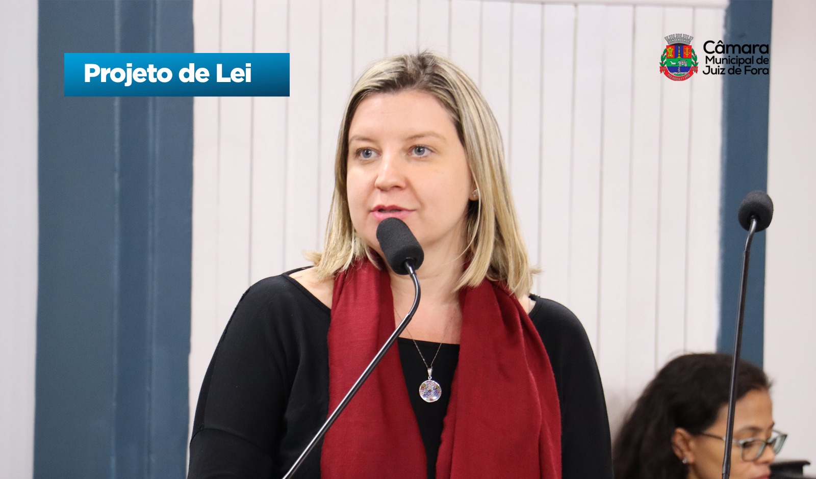 Laiz Perrut propõe atendimento sobre LGBTQIAPN+fobia nas escolas em JF (30/06/2025 00:00:00)