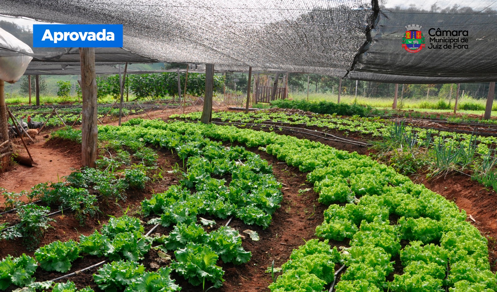 Câmara aprova criação da Secretaria de Desenvolvimento Agrário (17/07/2025 00:00:00)