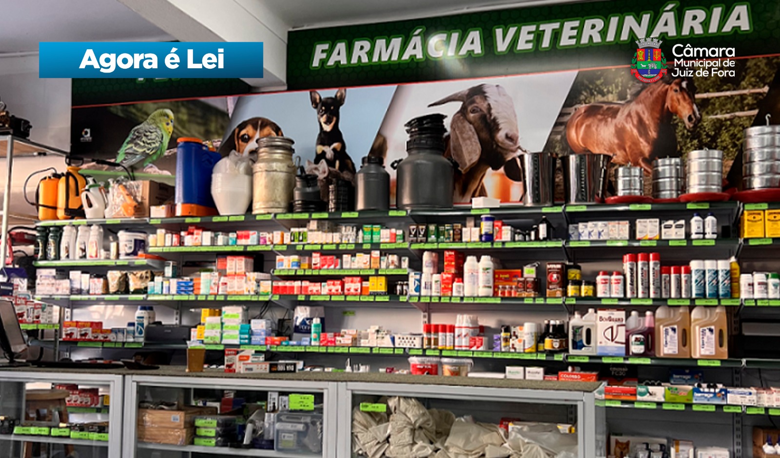 Agora é Lei - Farmácia Popular Veterinária (05/11/2025 00:00:00)