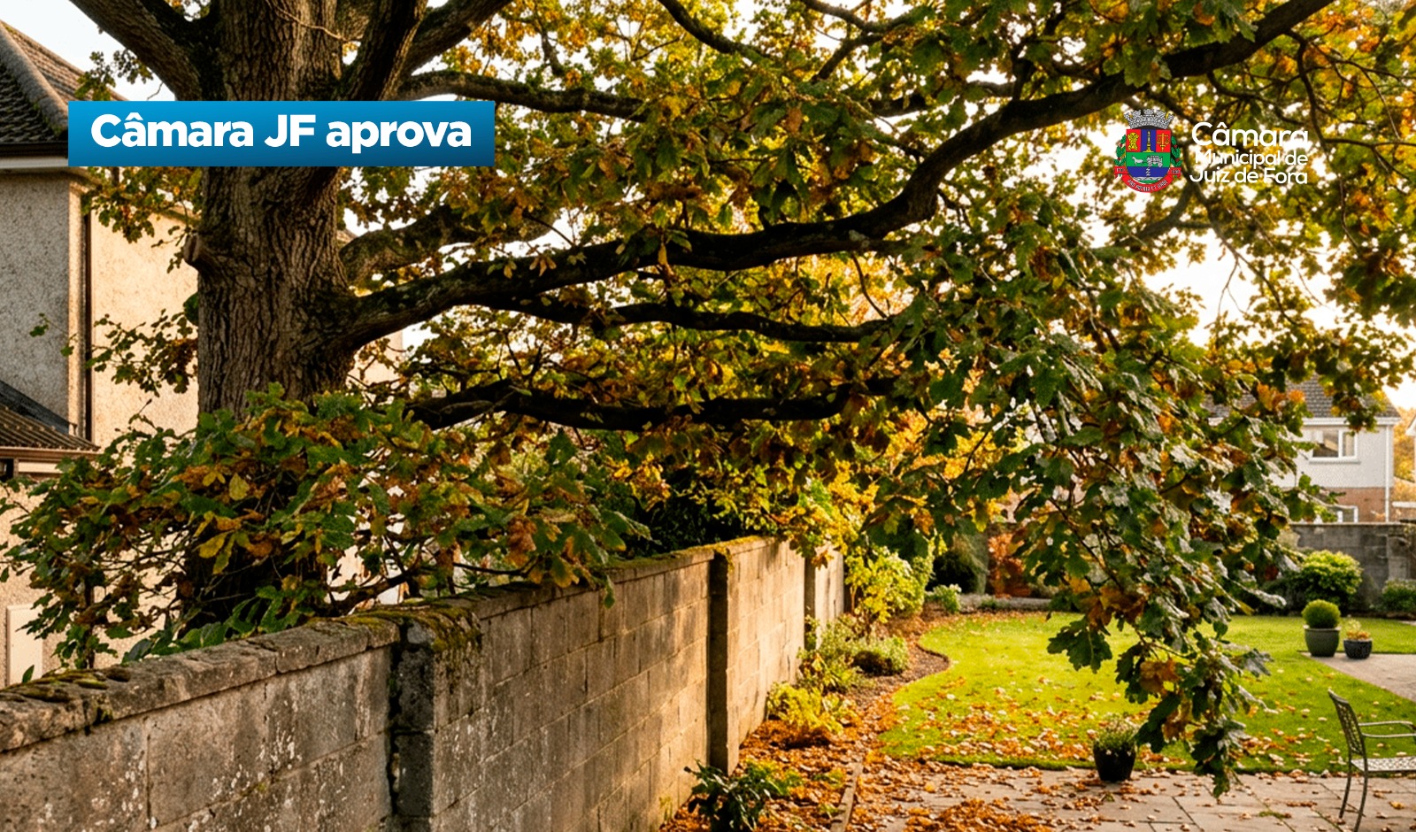Câmara JF aprova -  Multa por invasão de árvores em terreno vizinho (27/03/2026 00:00:00)