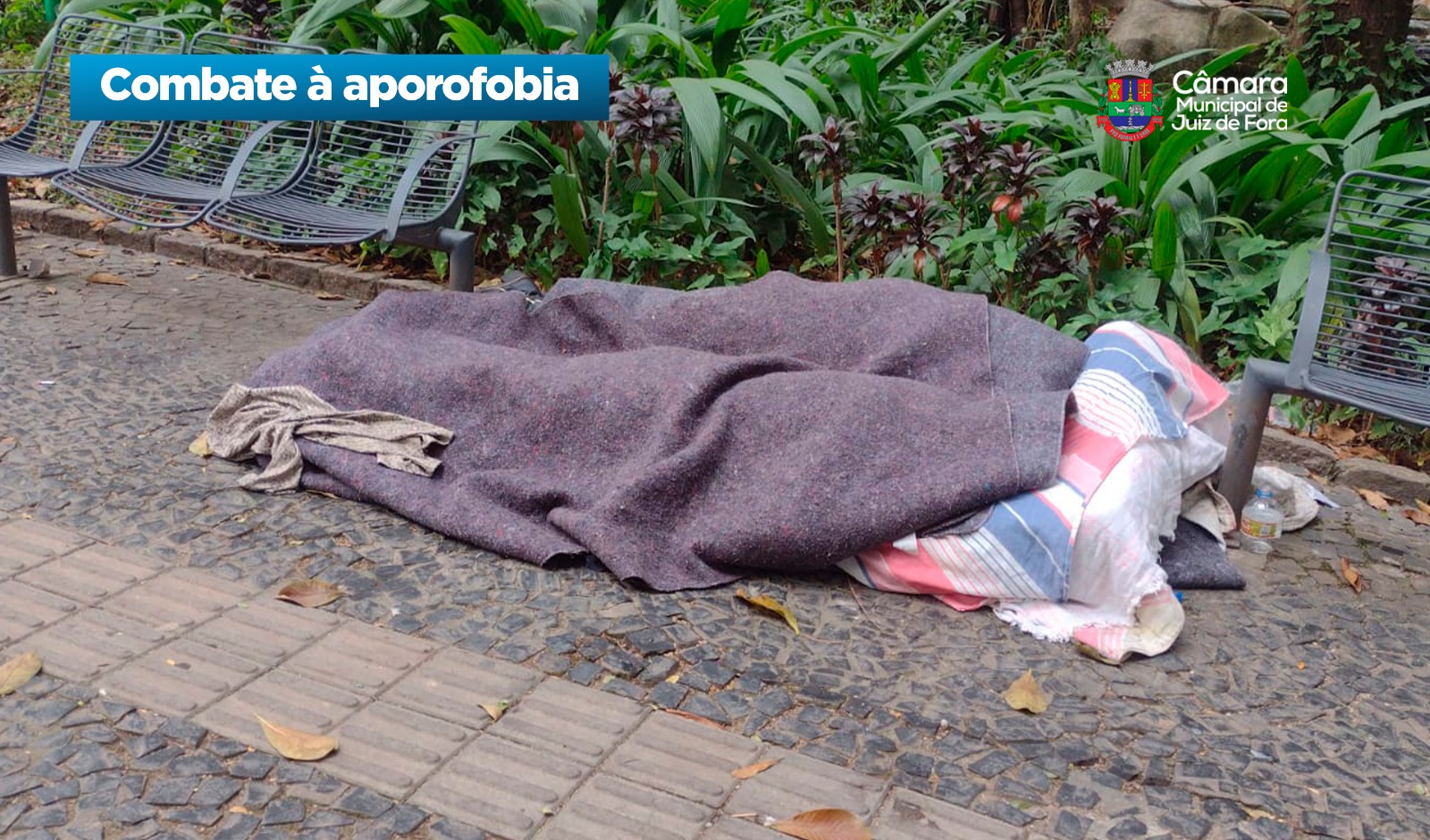 Câmara JF aprova - Dia de Combate à Aporofobia (01/12/2025 00:00:00)