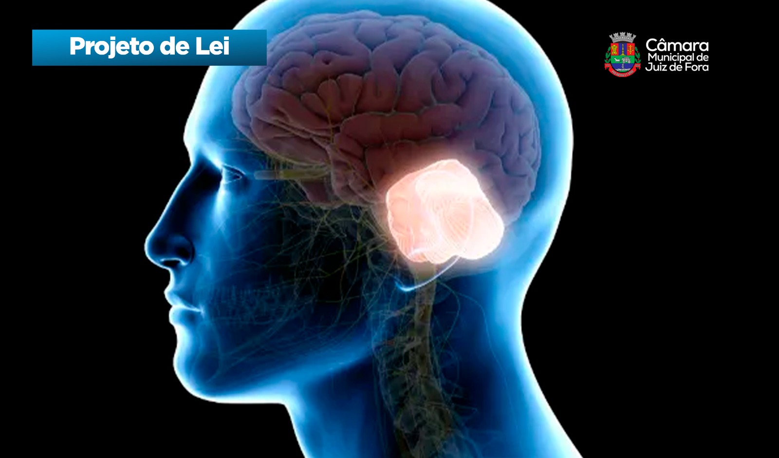 Fiote - Dia Municipal de Conscientização sobre a ataxia (25/08/2026 00:00:00)