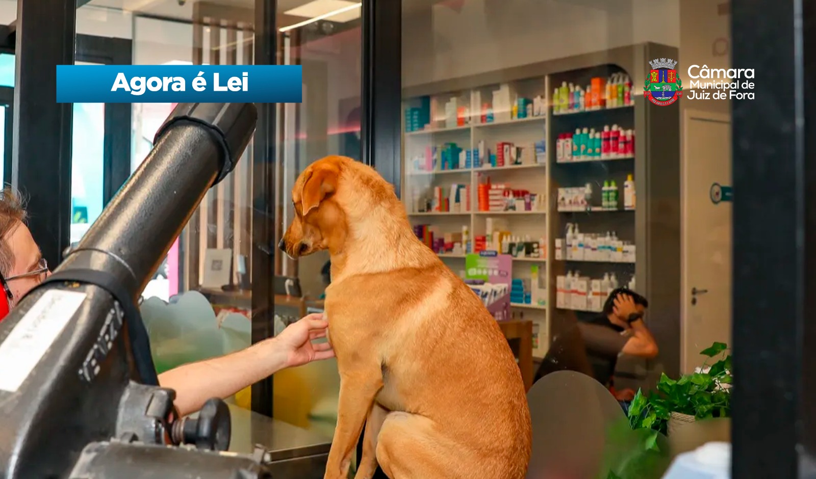 Agora é Lei - Transparência nos procedimentos banho e tosa (20/03/2026 00:00:00)
