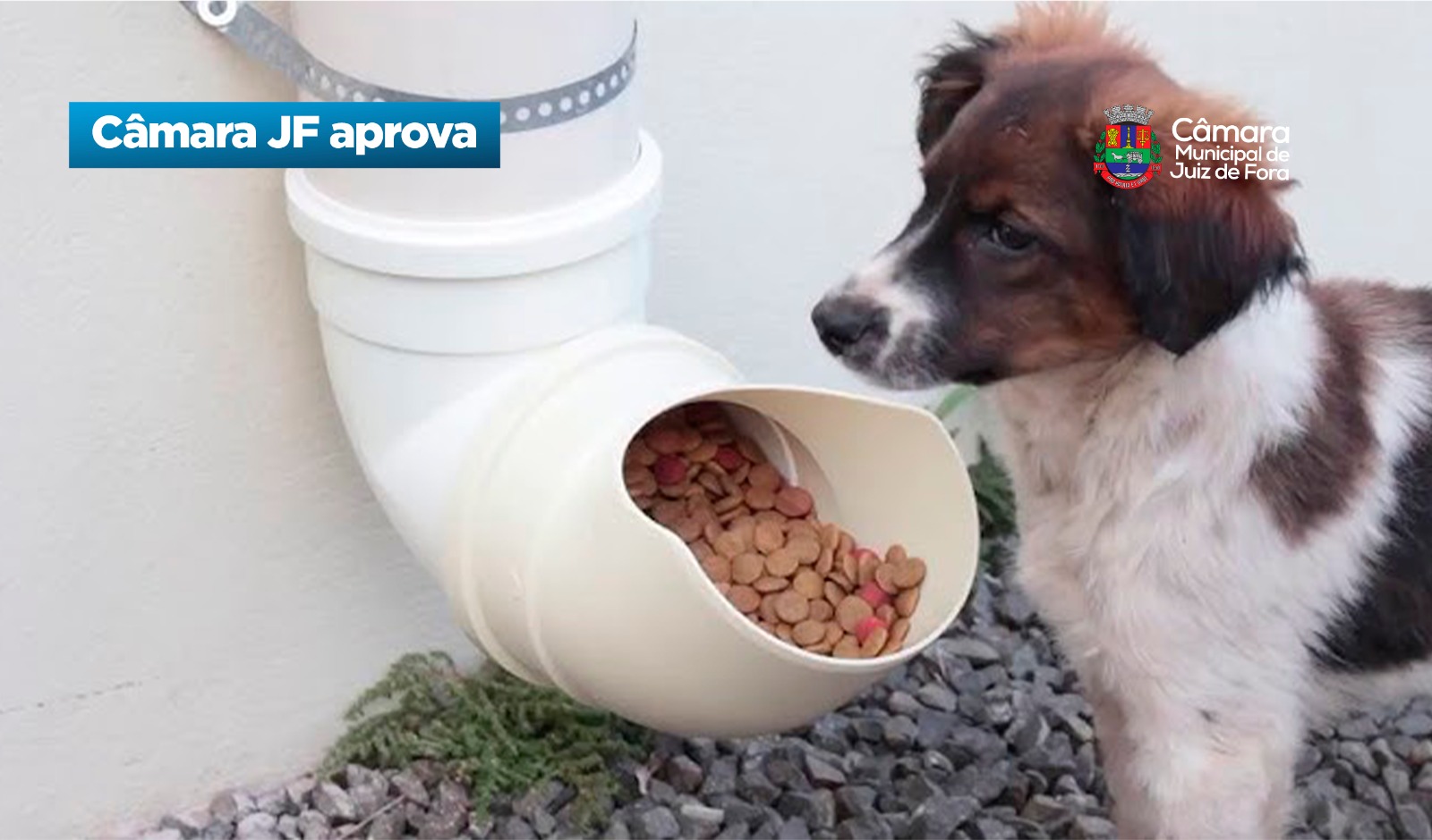 Câmara JF aprova - Mudança na destinação das multas (28/05/2026 00:00:00)