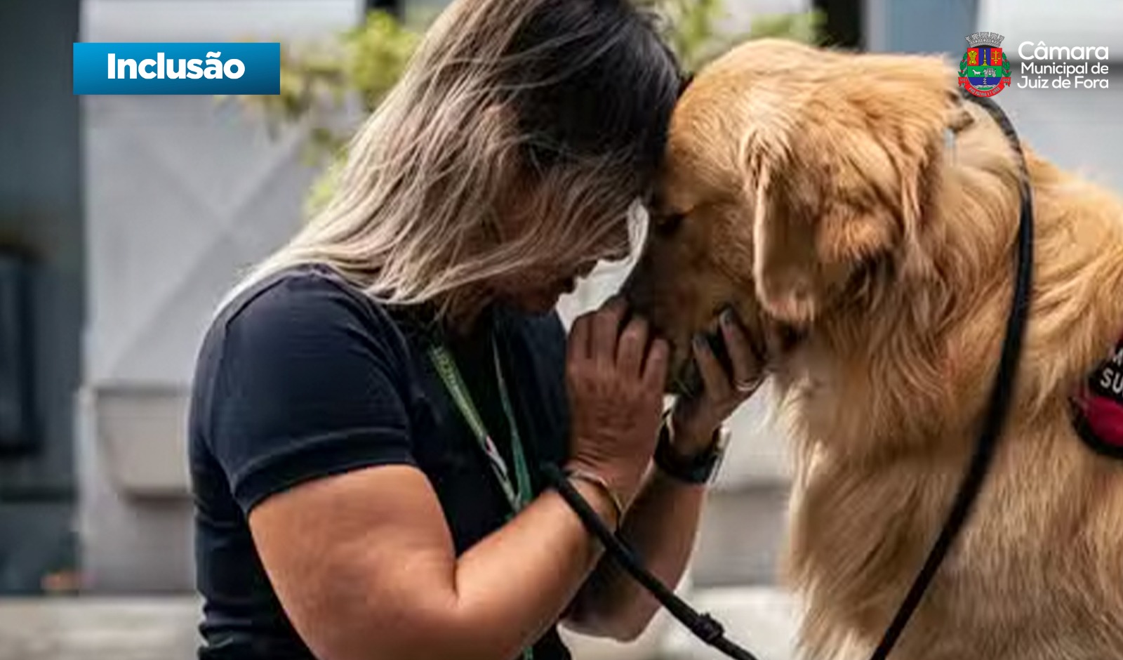Inclusão - Câmara aprova cão de apoio emocional em ambientes públicos e privados (04/12/2025 00:00:00)