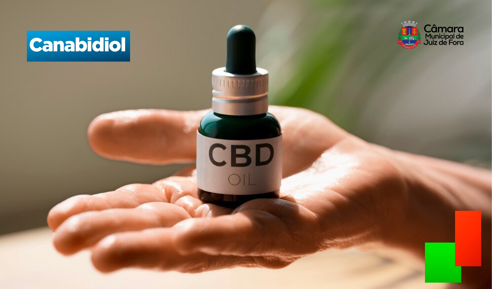 Câmara aprova distribuição de medicamentos à base de canabidiol (30/04/2025 00:00:00)