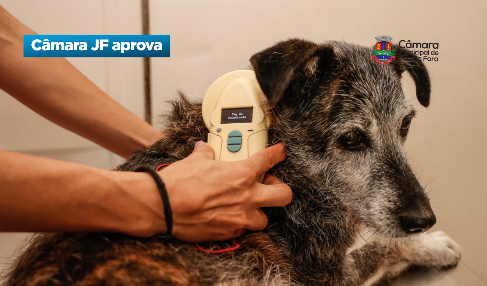 Câmara JF aprova -  Cadastramento imediato para animais com microchip (27/03/2026 00:00:00)