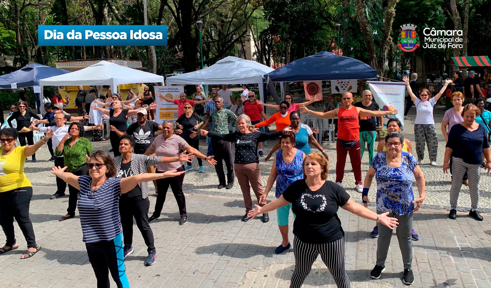 Dia Internacional da Pessoa Idosa é celebrado na Câmara Municipal (01/10/2025 00:00:00)