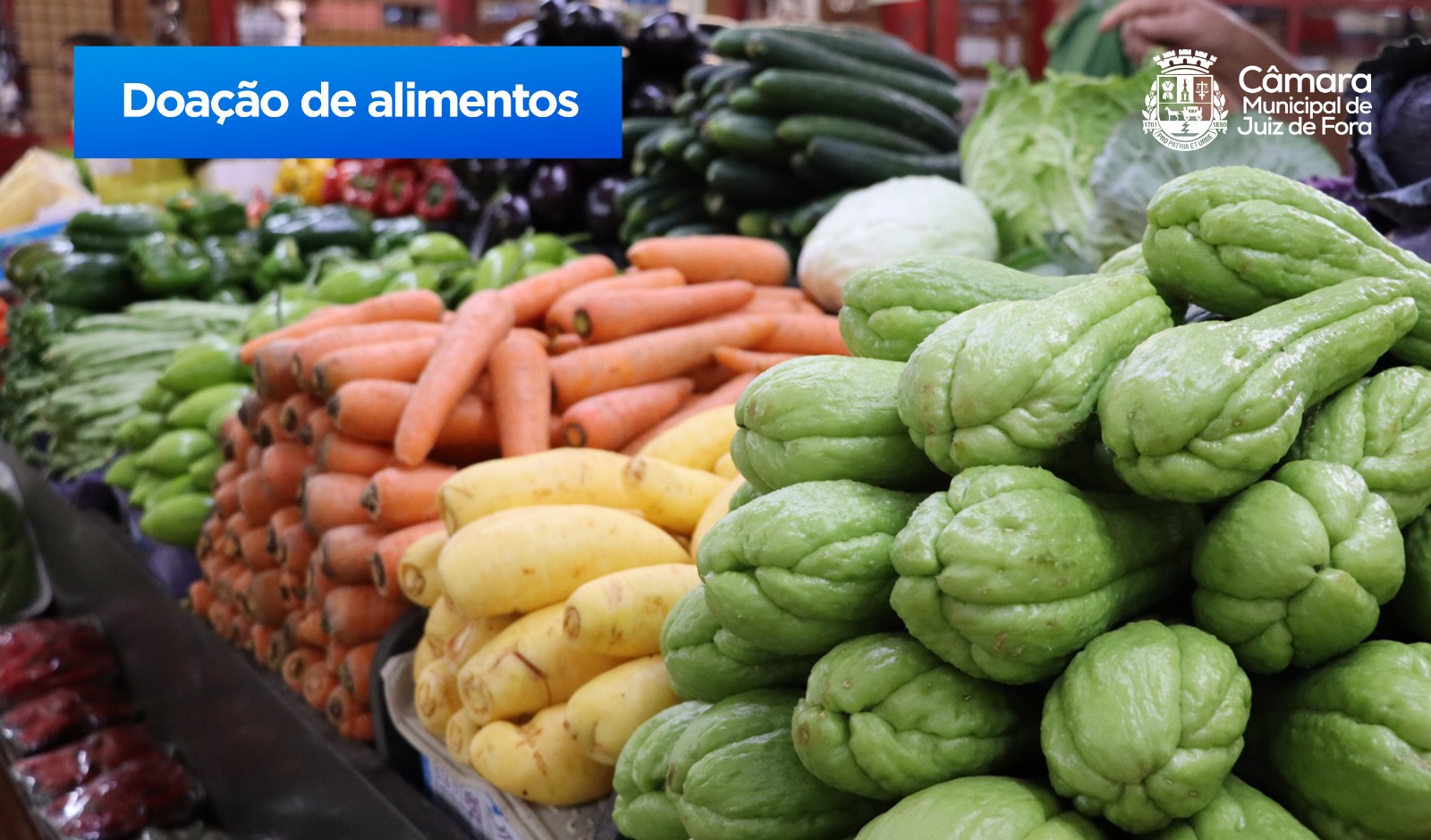 PL objetiva a criação do Banco de Alimentos do município (15/02/2023 00:00:00)