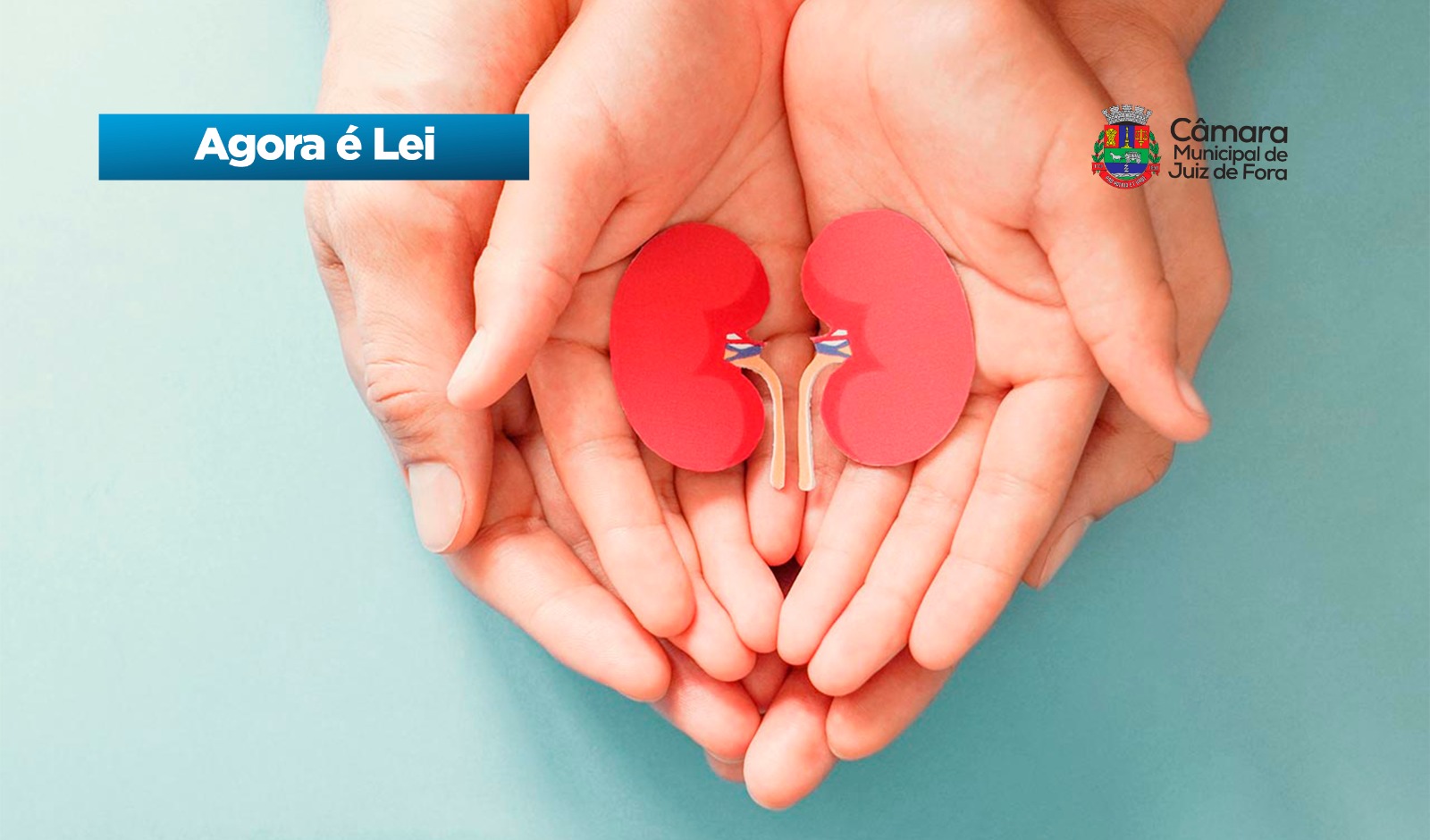 Agora é Lei  - Dia Municipal do Doador de Órgãos (27/04/2026 00:00:00)