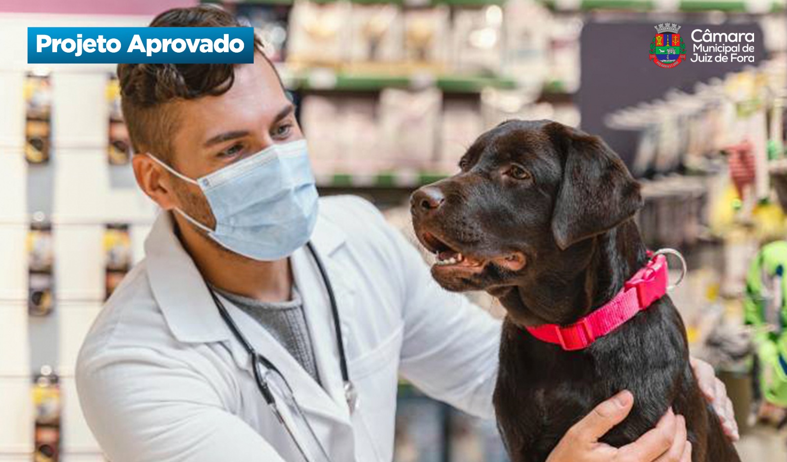Câmara Municipal aprova farmácia popular veterinária (22/09/2025 00:00:00)