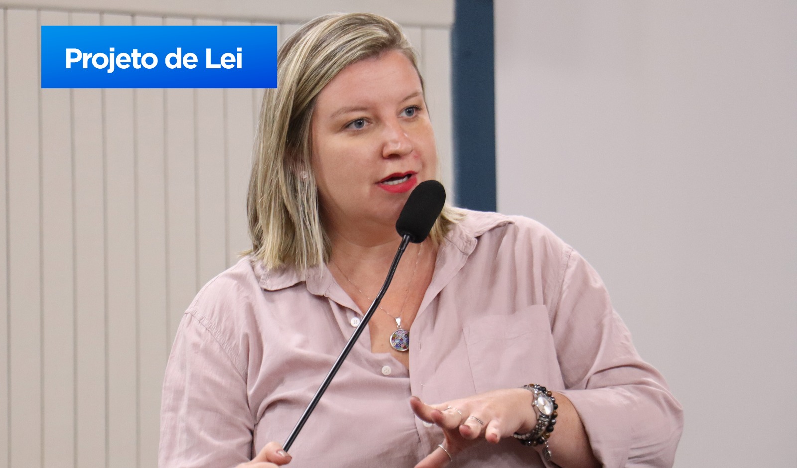 Laiz protocola projeto de lei para vedar homenagens a violadores de direitos humanos (24/01/2025 00:00:00)
