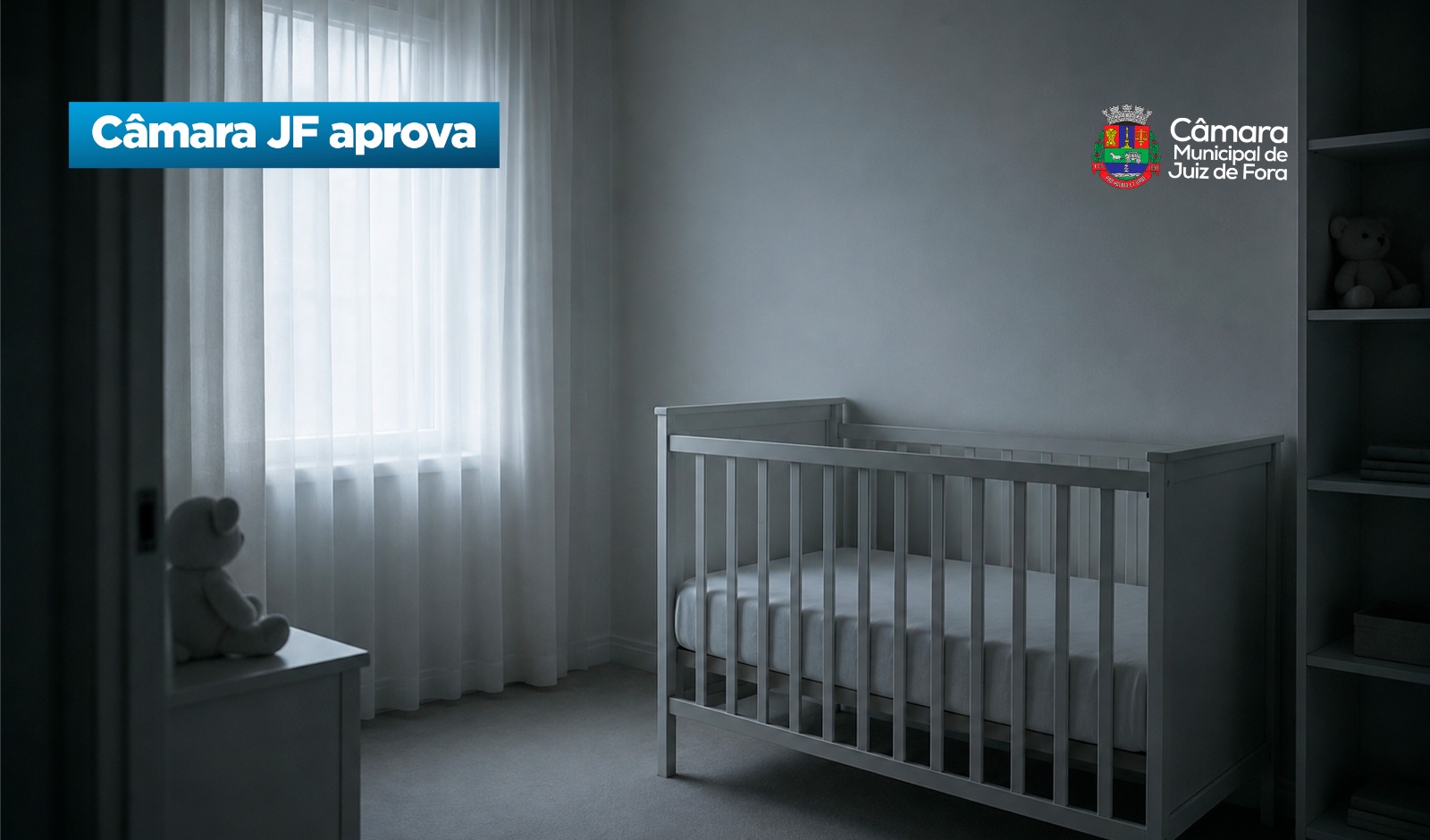 Câmara JF aprova - Ampliação das políticas de humanização do luto parental (01/09/2026 00:00:00)