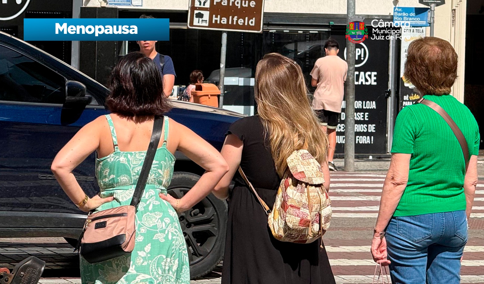 Menopausa - Atenção integral à saúde de mulheres no climatério e menopausa (02/12/2025 00:00:00)